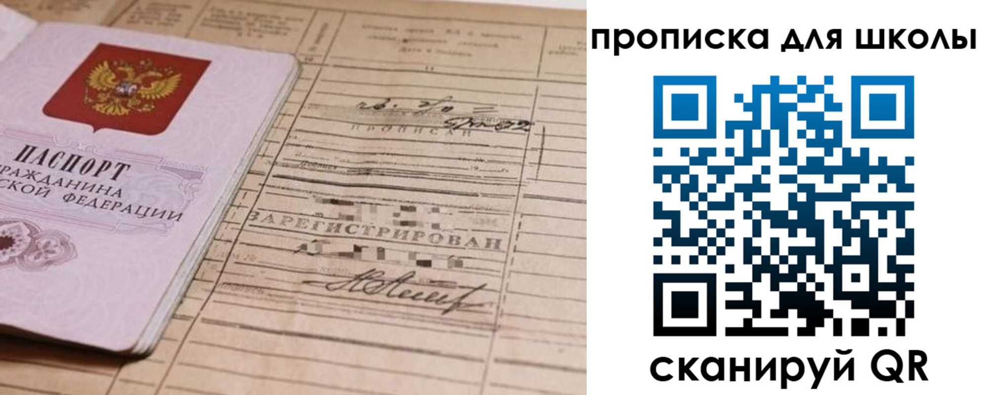 прописка поиск в Курской области